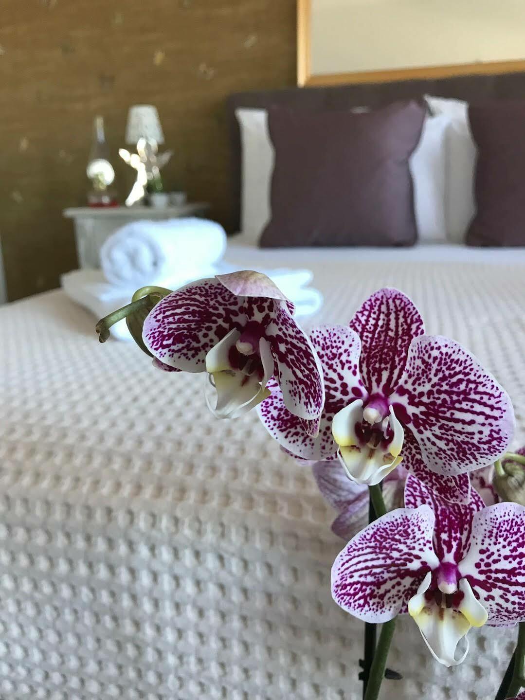 Hotel Matiana 3*